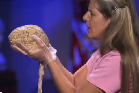 Jill Bolte Taylor with Brain